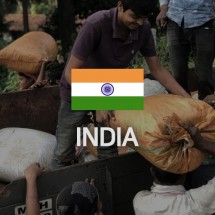 인도 Madras Limited collection