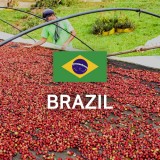 브라질 NY2 FC Cerrado 14/16