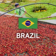 브라질 NY2 FC Cerrado 14/16